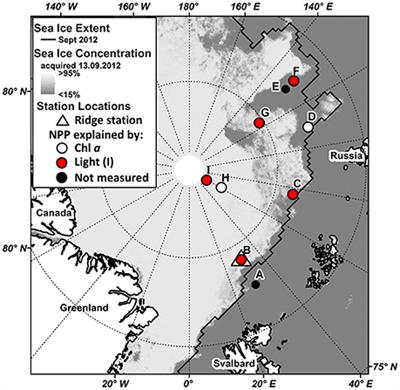 Characterizing Spatial Variability of Ice Algal Chlorophyll a and Net Primary Production between Sea Ice Habitats Using Horizontal Profiling Platforms